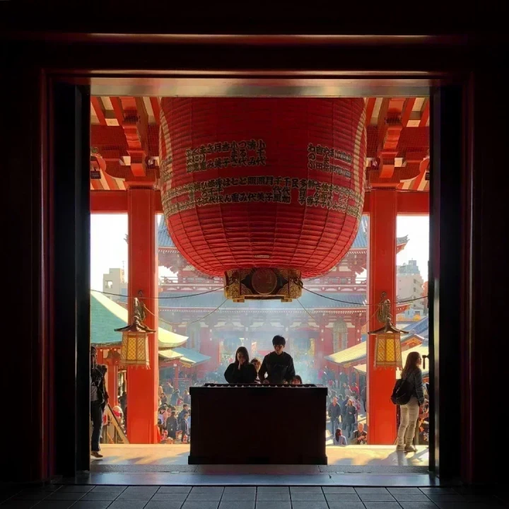 JAPONIA Florilor de Cireș – Circuit Premium